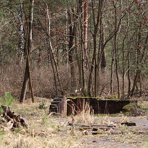 Great Escape - Remains Of The Kitchen Area