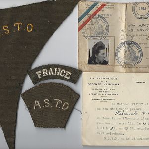 My French mother's credential