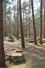 WW2 - Hut Remains.jpg