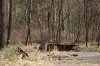 WW2 - Great Escape - Remains of the Kitchen Area.jpg