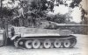 Tiger-1-334-.jpg