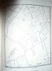 P1010321-1.jpg