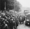 french pows 1940.jpg