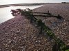 BeachDefences_5sm.jpg