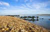 BeachDefences_6sm.jpg