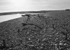 BeachDefences_4bw_sm.jpg