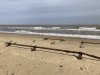 IMG_2088.JPEG