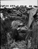 Dunkirk - 2 RUR soldier getting some rest in his trench during rear guard duty at Dunirk.jpg