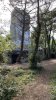 IMG_7386.jpeg