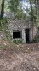IMG_7388.jpeg