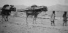 Loaded camels.JPG