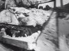 Tank-Dozer 743 TB (14 Jan 1945) 03.jpg