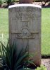 IMG_6002.jpeg