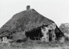 Betuwe boerderij.jpg
