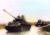 Tiger Coy on road.jpg