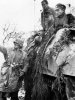 Half track German Ardennes.jpg