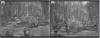 Paras In Woods -1.png