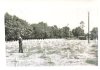 Bedburg cemetery 1.jpg