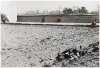 8B_Capa Toter auf Acker-2.jpg