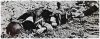 8B_Capa Toter auf Acker-Crop.jpg