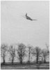 bhc-03731-2.jpg