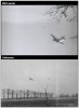 Compare C-47s DZA.jpg