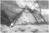 Crash_C-47_Film-crop.png