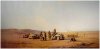 David Shepherd - Evening in the Desert.jpg