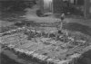 Calais graves BEF 1940. b.jpg