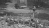Calais graves BEF 1940.jpg