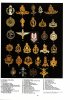 Cap Badges of AoS.jpg