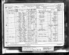 1881EnglandCensus_297054122.jpg