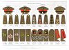 British Army Ranks from The Armed Forces of World War II by Andrew Mollo.JPG