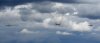 DSC04178.jpg