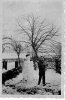 My Batman L.Cpl Driver Ron Tinsley &amp; Mush Dad's dog at 8 Lt Wksp, Milse 1946.jpg