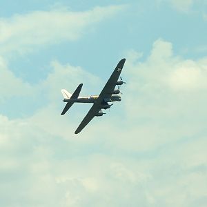 Sally B