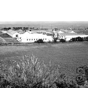 Stiffkey AA Camp 1955