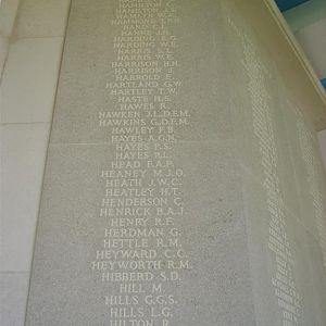 RM panel 15 top (Large).JPG