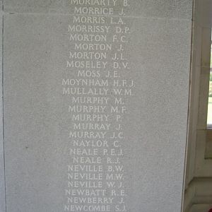 RM panel 17 bottom (Large).JPG