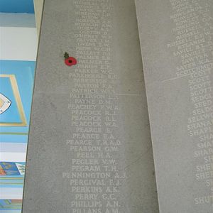 RM panel 18 top (Large).JPG