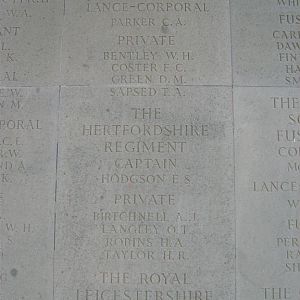 Brookwood  panel  10d (Large).JPG