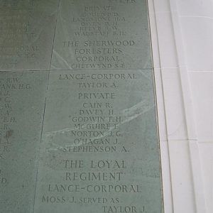 Brookwood  panel  12h (Large).JPG