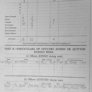 February War Diary, 6th Battalion, Grenadier Guards, Jan - Mar 1944