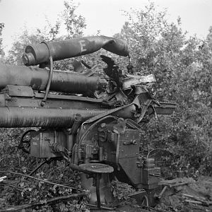 Irish Guards Group / Guards Armoured Division, Aalst, 18 Sept