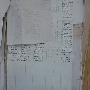 resized_P4390022.jpg
