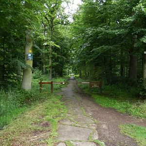 Entry to woods and site