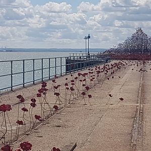 20170514_131740_resized_1