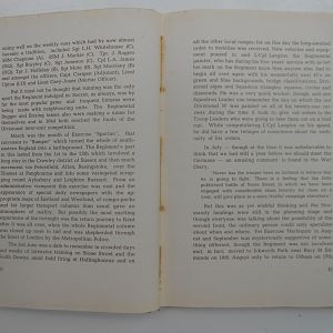 Welsh Spearhead_ (21)