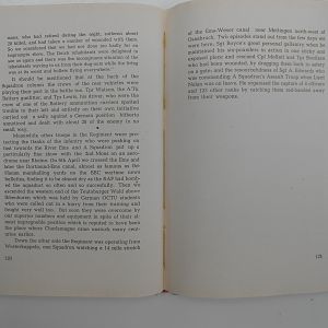 Welsh Spearhead_ (61)