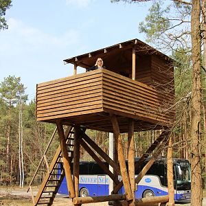 Hilary In The Great Escape Camp